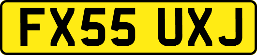 FX55UXJ