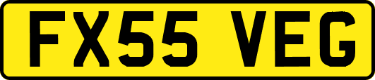FX55VEG