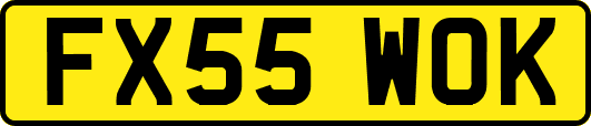 FX55WOK