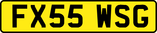 FX55WSG