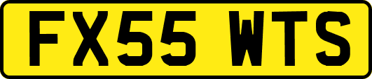 FX55WTS