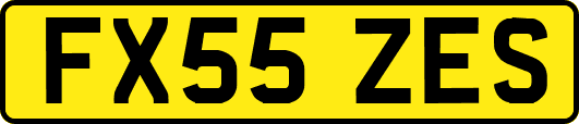 FX55ZES