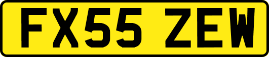 FX55ZEW