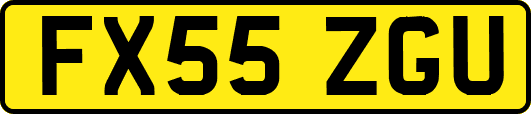 FX55ZGU