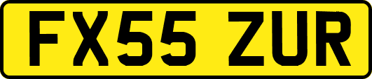 FX55ZUR