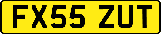 FX55ZUT