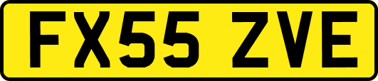 FX55ZVE