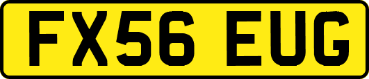 FX56EUG