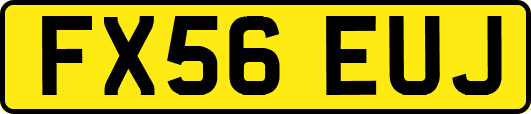 FX56EUJ