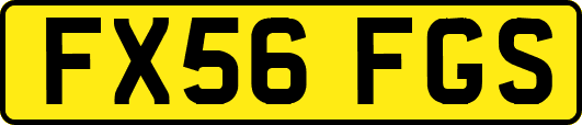 FX56FGS