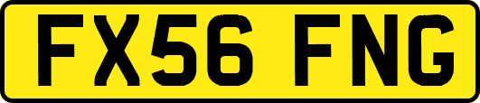 FX56FNG