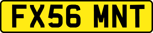 FX56MNT