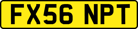 FX56NPT
