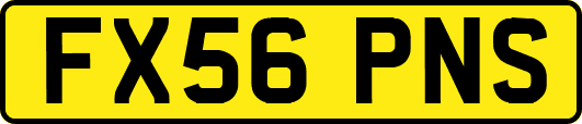 FX56PNS