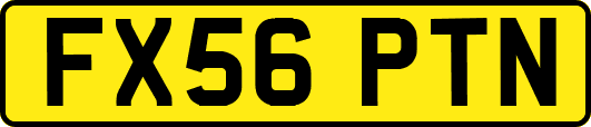 FX56PTN