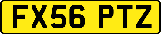 FX56PTZ