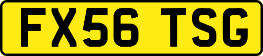 FX56TSG