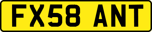 FX58ANT