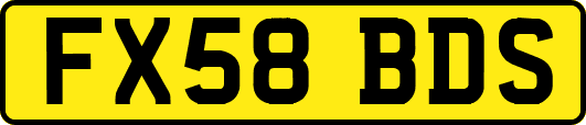 FX58BDS