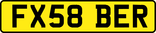 FX58BER