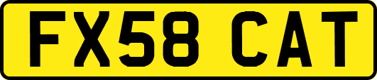 FX58CAT
