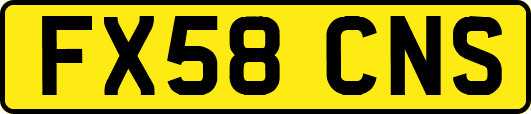 FX58CNS