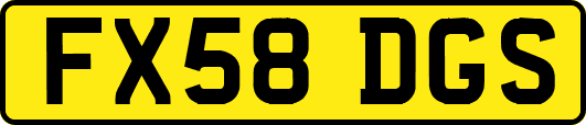 FX58DGS