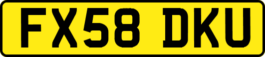 FX58DKU