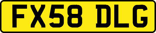 FX58DLG