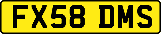 FX58DMS