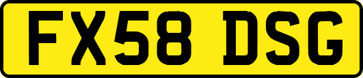 FX58DSG