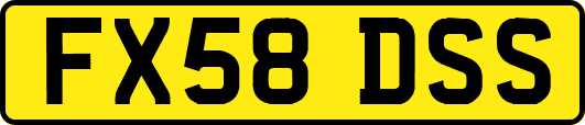 FX58DSS