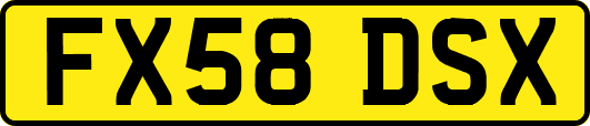 FX58DSX