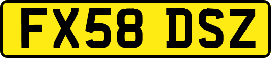 FX58DSZ