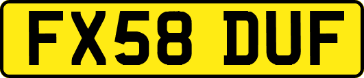 FX58DUF