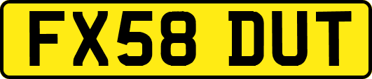 FX58DUT