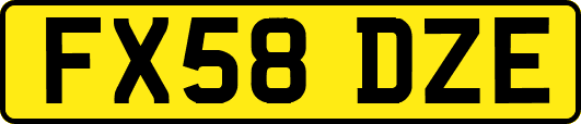 FX58DZE