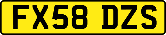 FX58DZS