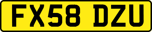 FX58DZU