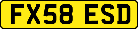 FX58ESD
