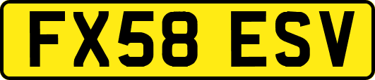FX58ESV