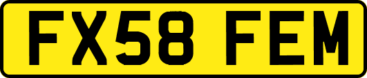 FX58FEM