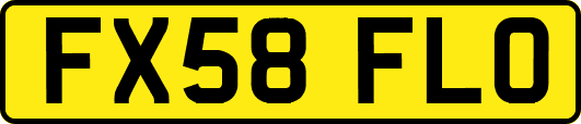 FX58FLO