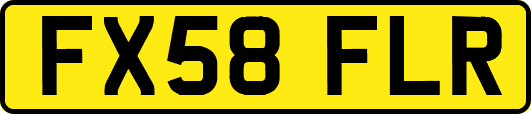 FX58FLR