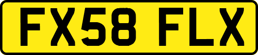 FX58FLX