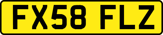 FX58FLZ