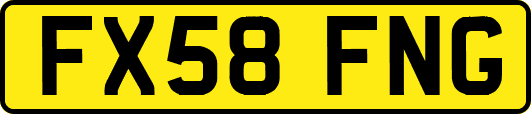 FX58FNG