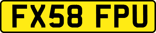 FX58FPU