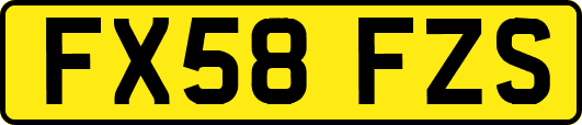 FX58FZS