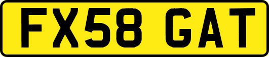 FX58GAT